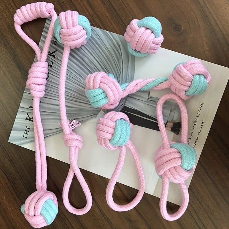 Interactive Training Pet Molar Supplies - Blue Pink 6piece set